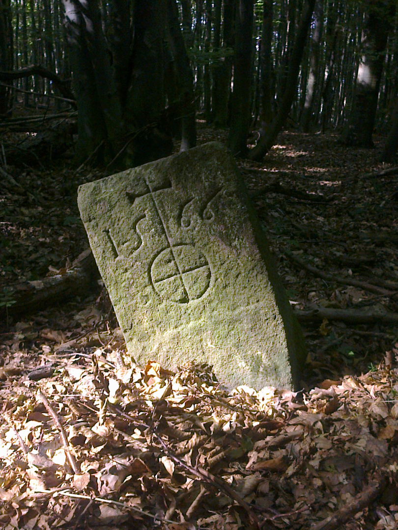 Grenzstein im Wienerwald