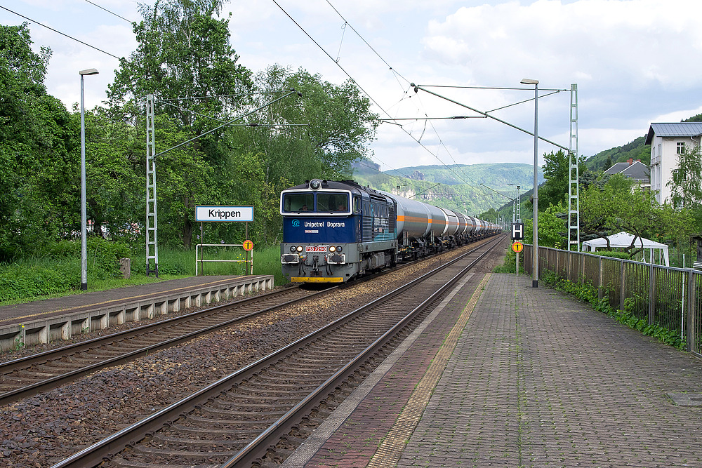 Grenzverkehr mit Brille