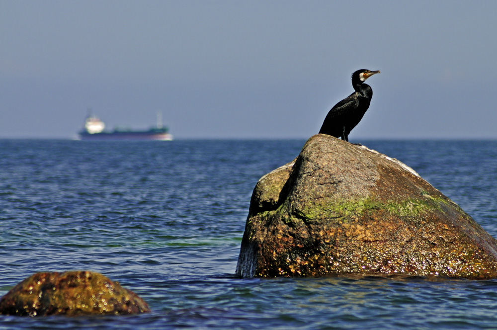 Grenzwache Ostsee