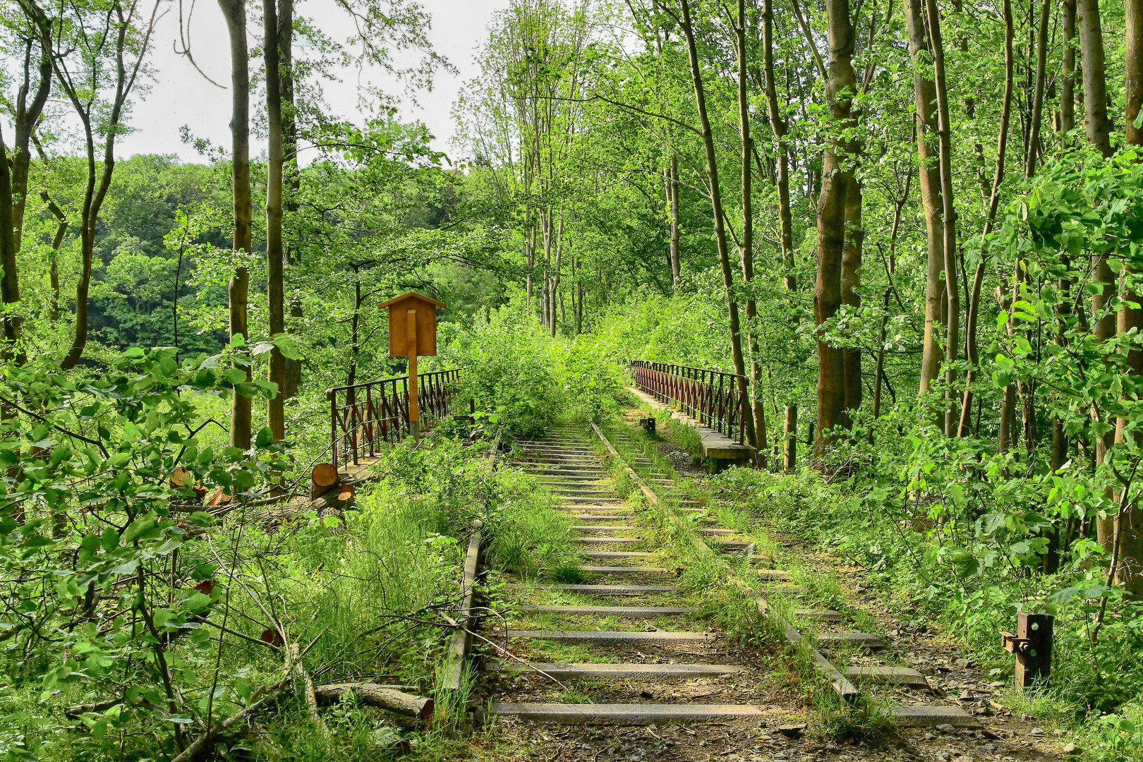 Grenzwanderweg...