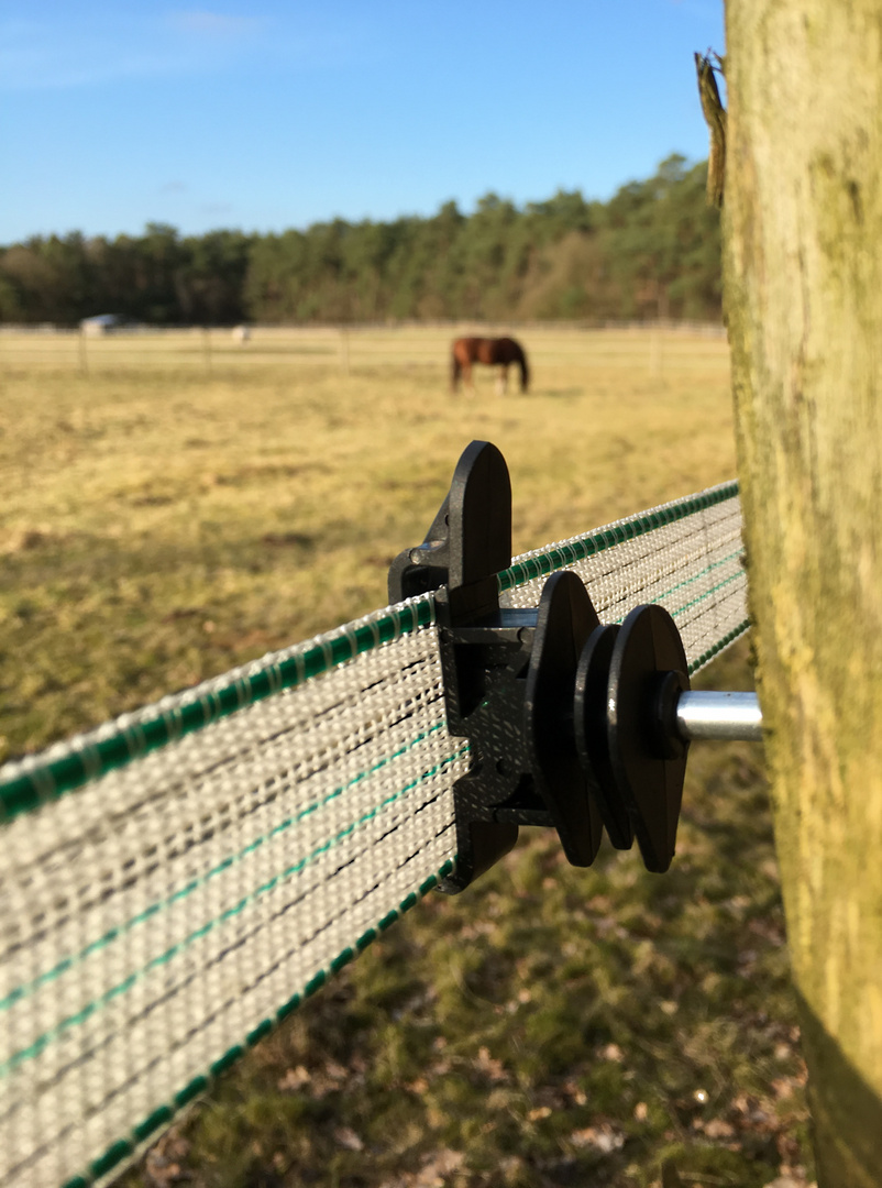 Grenzzaun 1 Foto & Bild reportage dokumentation, motive Bilder auf