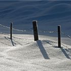 Grenzzaun zwischen Licht und Schatten