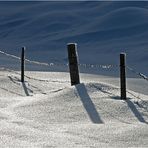 Grenzzaun zwischen Licht und Schatten