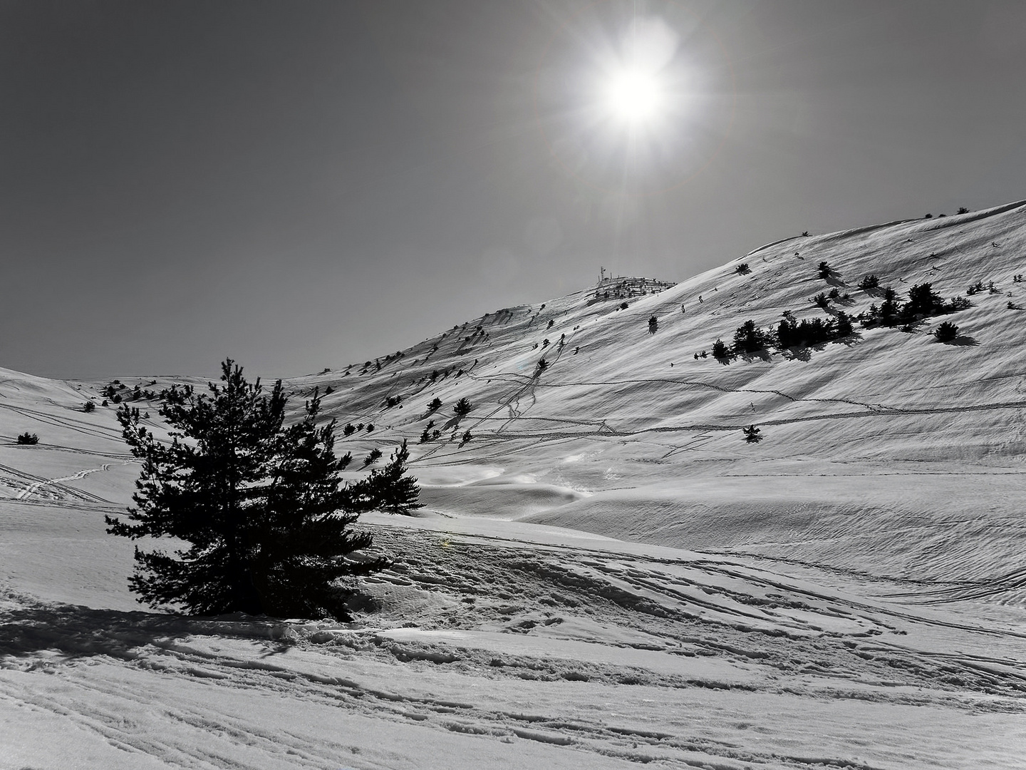 Gréolières les neiges B&W - 2