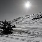 Gréolières les neiges B&W - 2