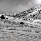 Gréolières les neiges B&W