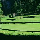 GRESSONEY "IL GREEN"