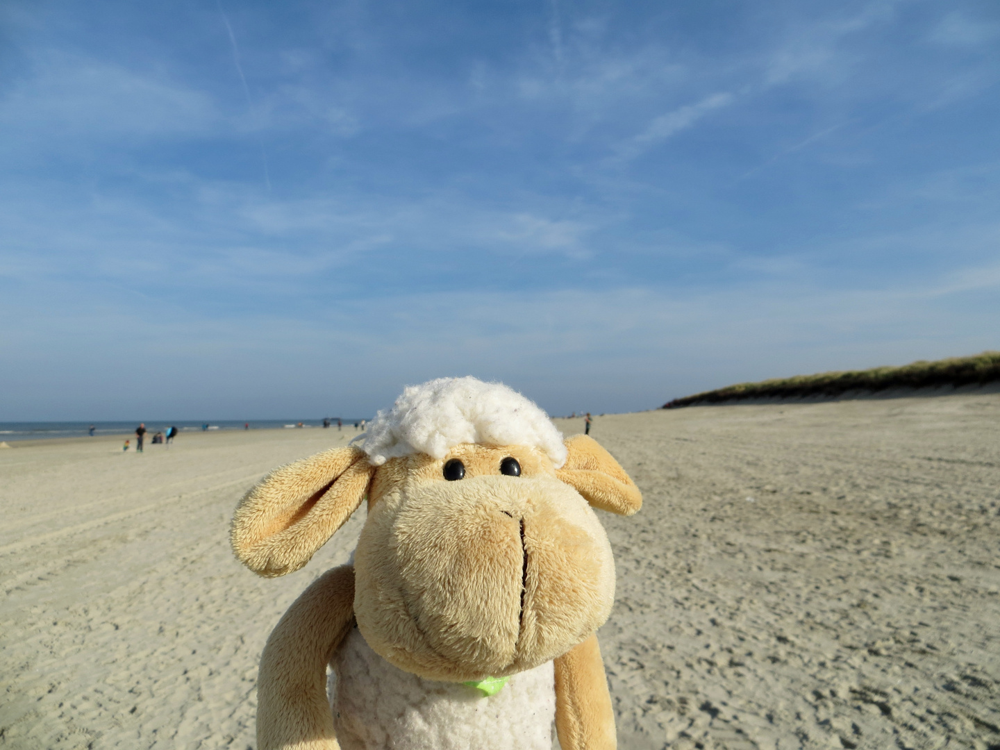 Greta aus Greetsiel am Strand von Langeoog