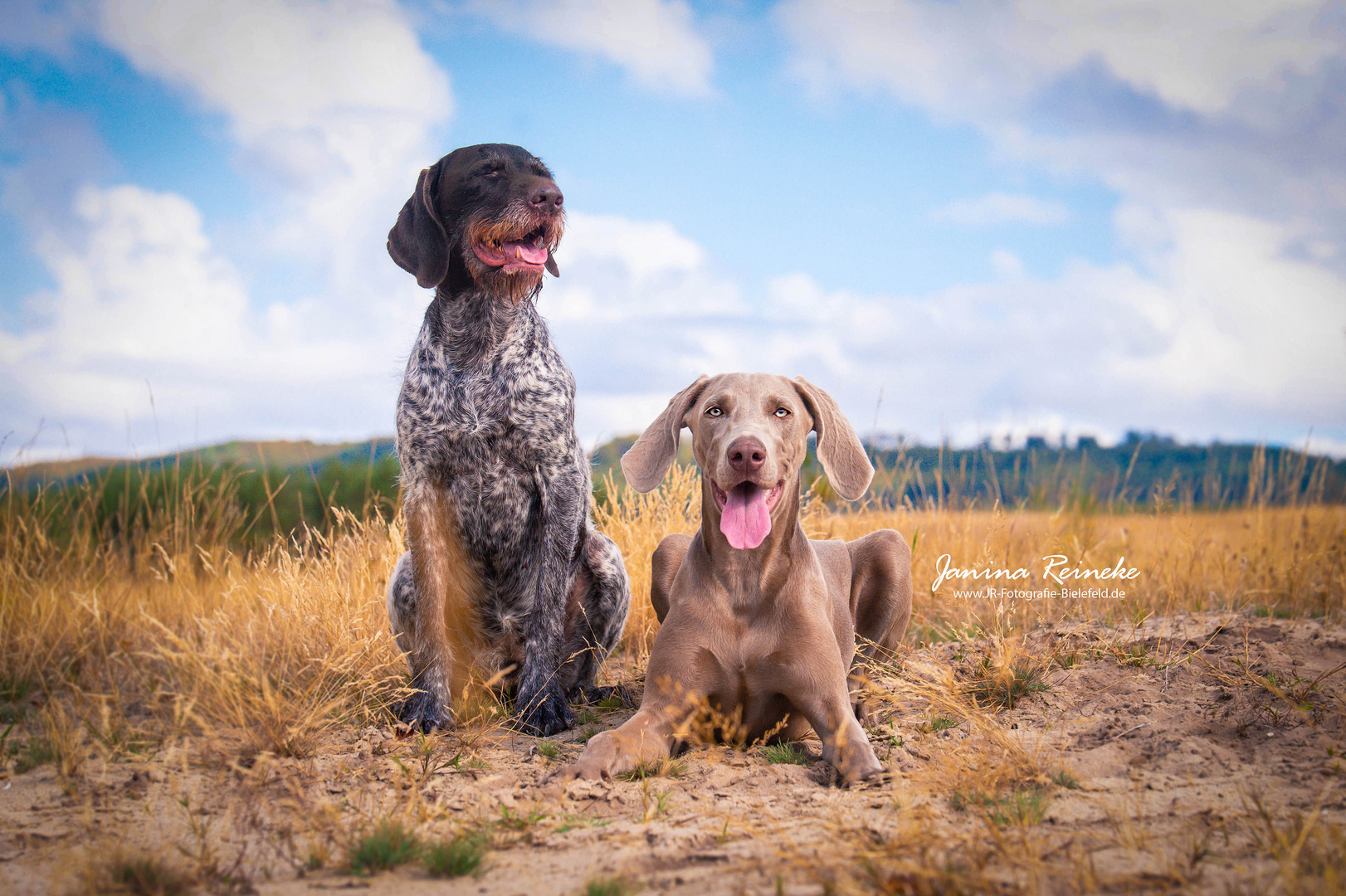 Greta & Qesra im Gras