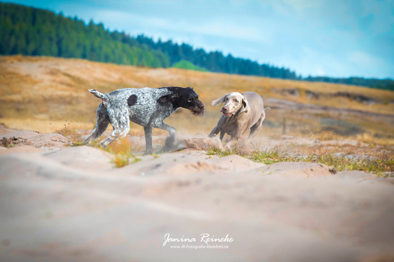 Greta & Qesra in Action