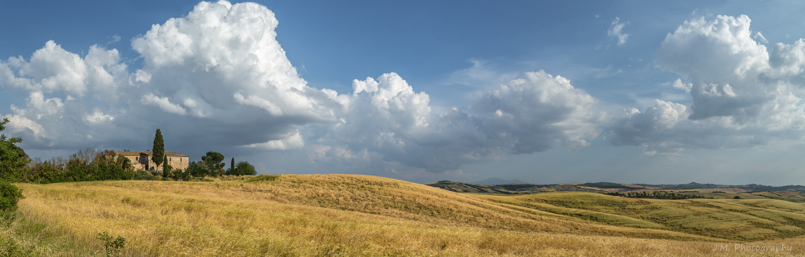 Grete Senesi