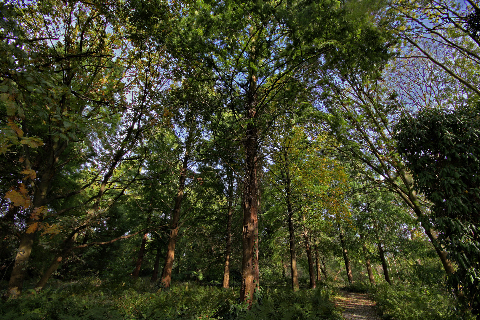 Grevenbroich Stadtpark