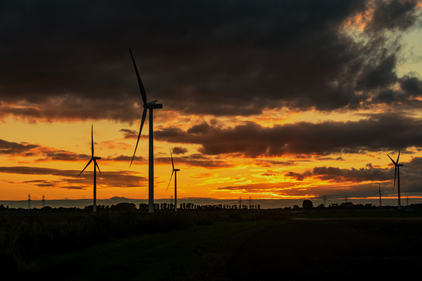 Grevenkop Neuenbrook Abenddämmerung