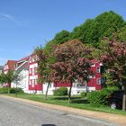 Grevesmühlen; Goethestraße, im Frühjahr