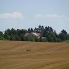 Grevesmühlen, Landschaft zur Erntezeit