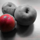 grey apples