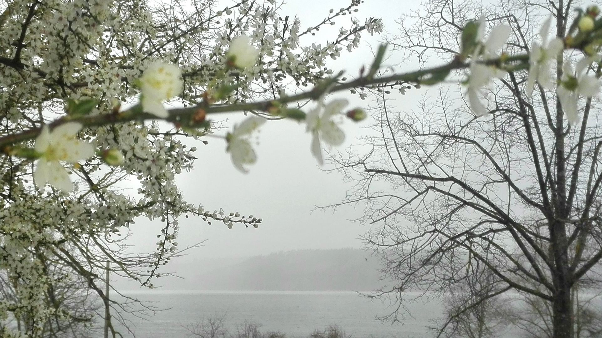 Grey Day in Spring ... Brombachsee