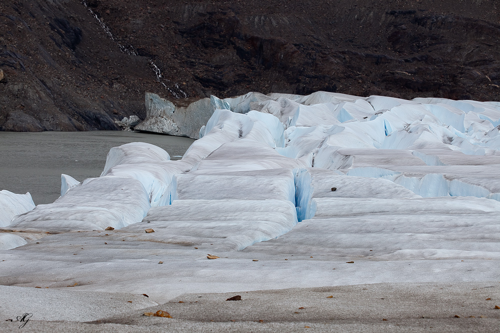 Grey Glacier