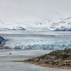 Grey Gletscher