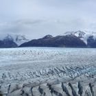 Grey Gletscher