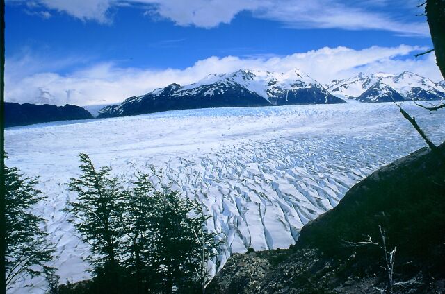 Grey-Gletscher, NP Torres del Paine, Chile