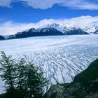 Grey-Gletscher, NP Torres del Paine, Chile