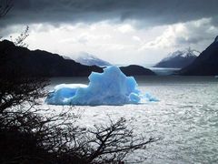 Grey- Gletscher- südliches Eisfeld