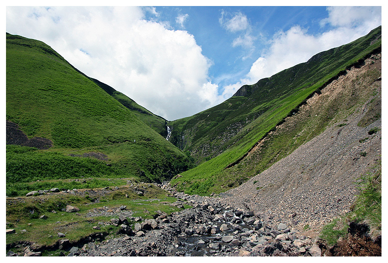 Grey Mare´s tail