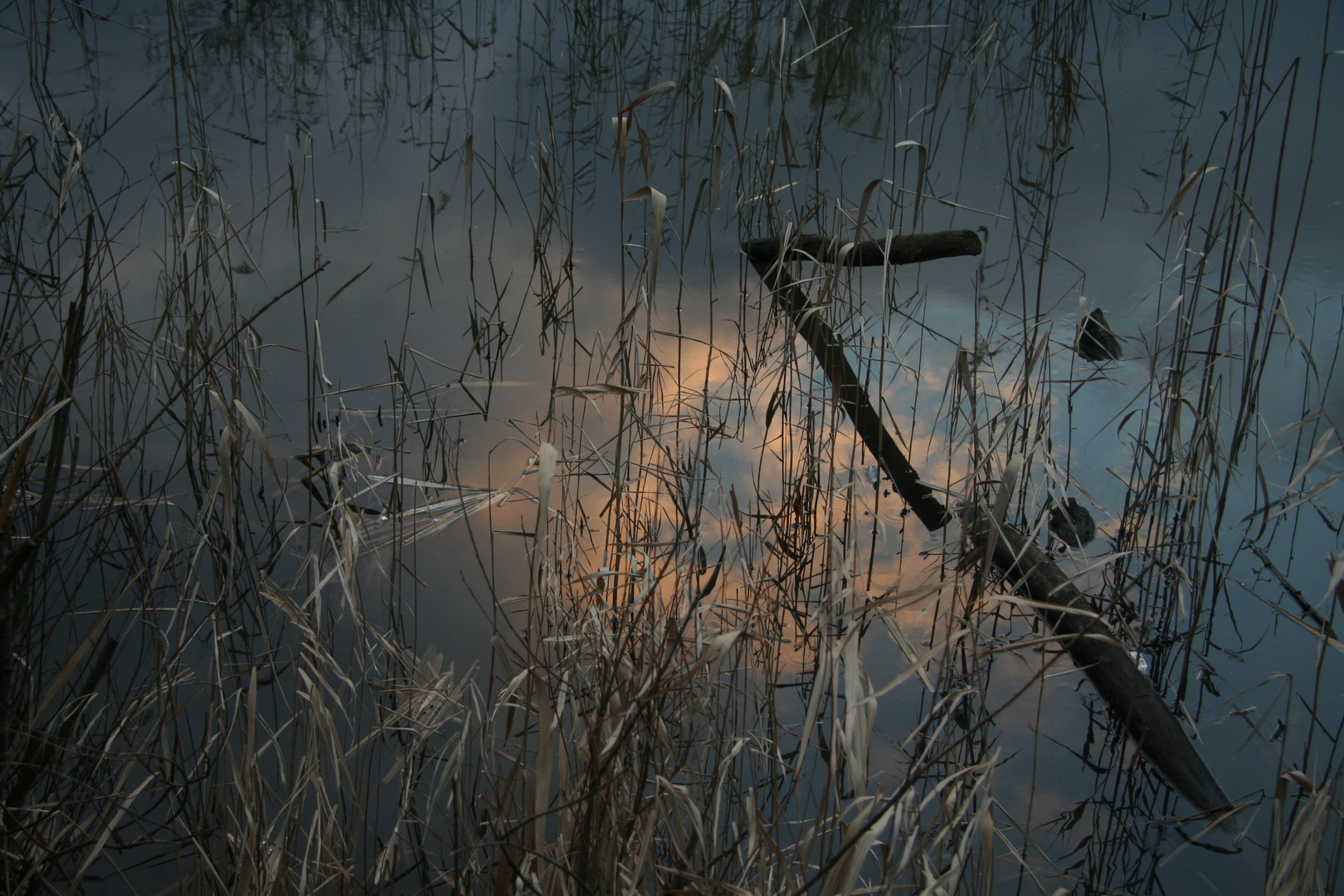 grey reflection