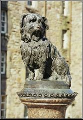 Greyfriars Bobby...