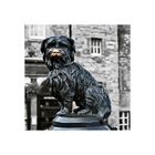 Greysfriars Bobby