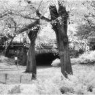 Greyshot Arch in Autumn - A Central Park Impression