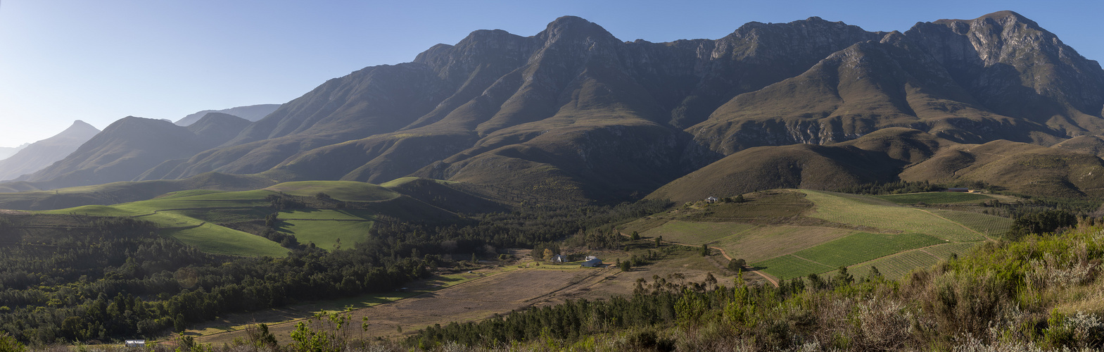 Greyton area