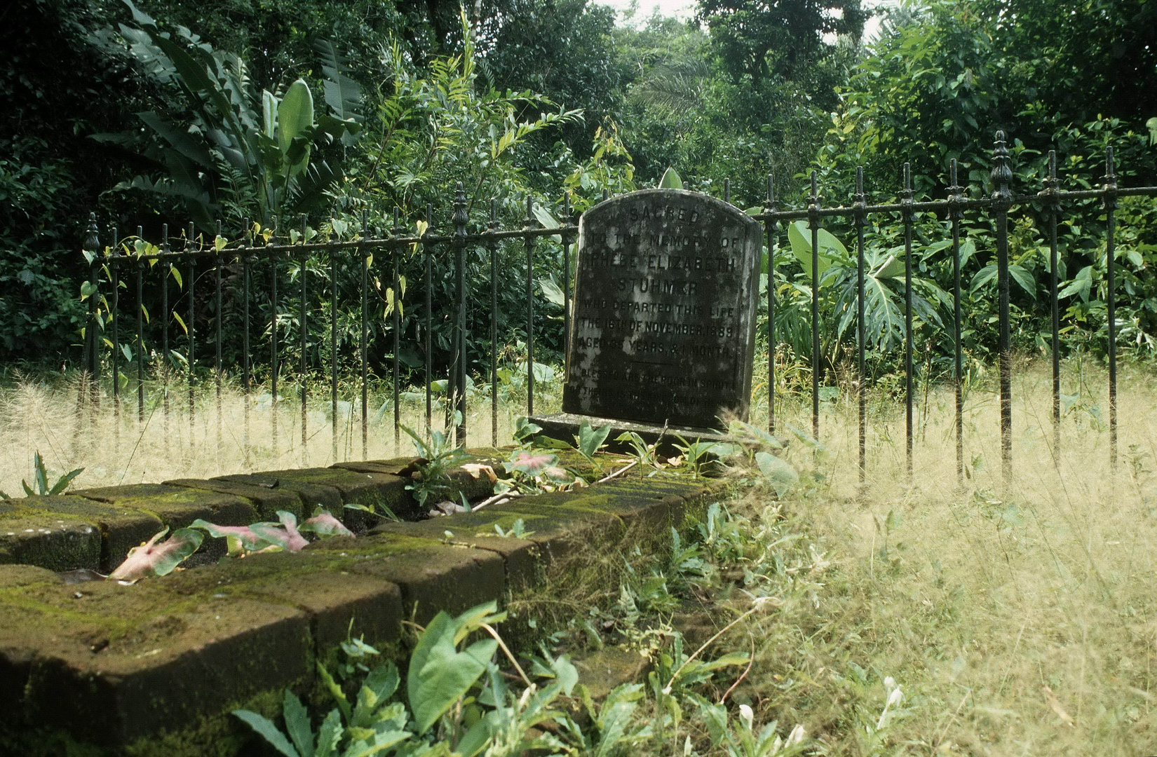 Greytown Friedhof
