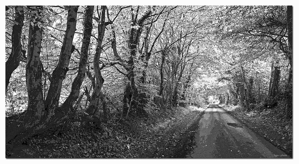 Gribble Bridge Lane