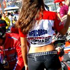 Grid Girl