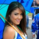 Grid-Girl II