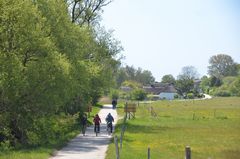 Grieben Insel Hiddensee 