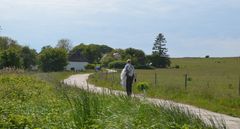 Grieben Insel Hiddensee 