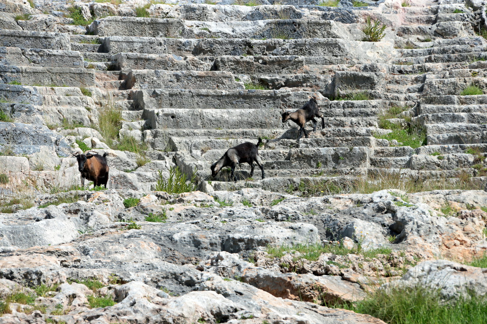 Griechenland, Rhodos, Lindos, Akropolis 