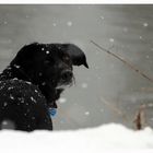 Griechin im Schnee