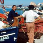 Griechische Inseln, Aegina, Fischer am Hafen