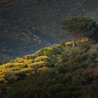 griechische Landschaft