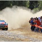 Griechische Rallye-Fans