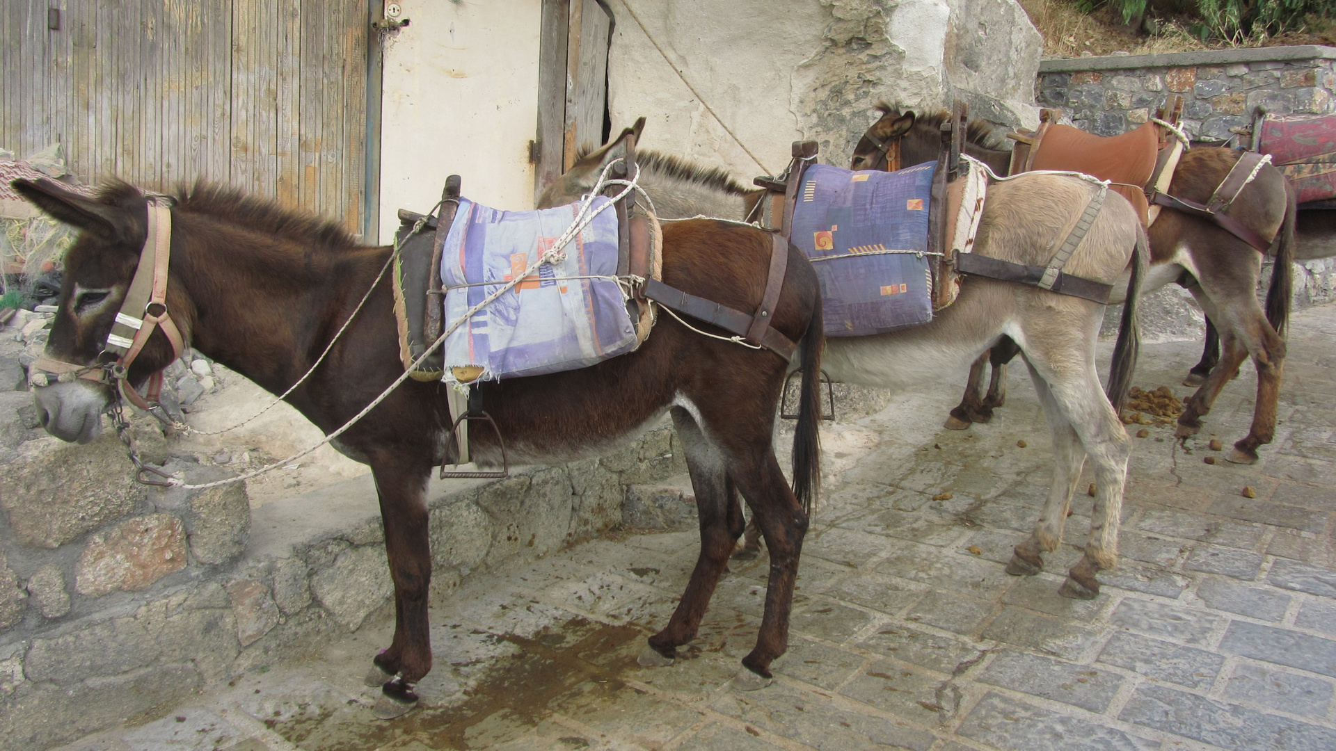 Griechische Taxis