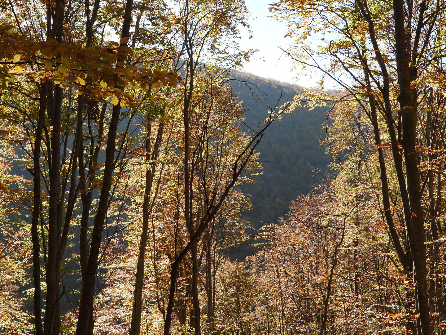 Griechischer Herbst