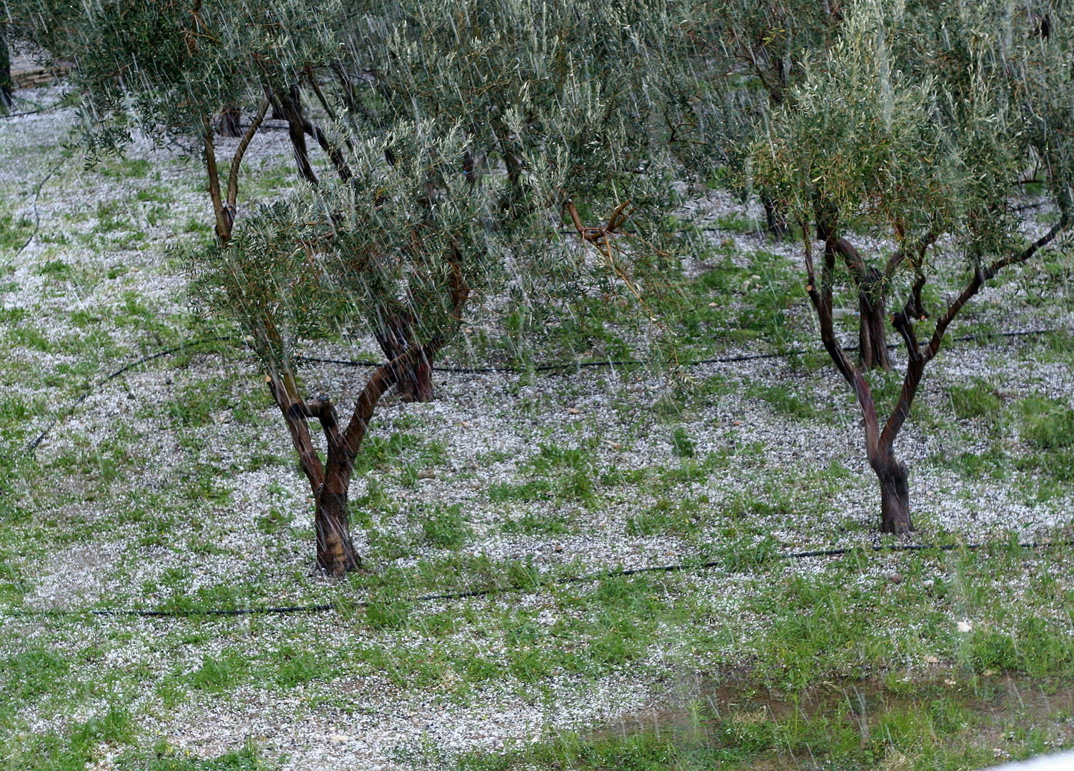 Griechisches Winterwetter 2