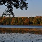 Grienericksee-Herbst