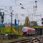 Griesheimer DB Regio-Tw (2 von 3)