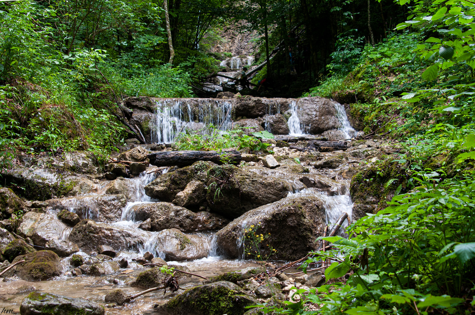 Grießenbach Wasserfall